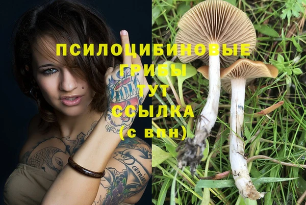наркотики Лихославль