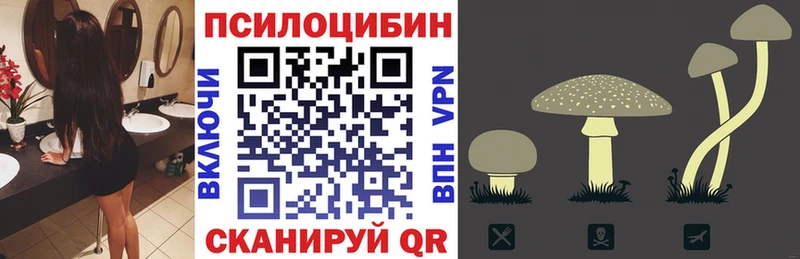 Галлюциногенные грибы Psilocybine cubensis  Южно-Сухокумск 